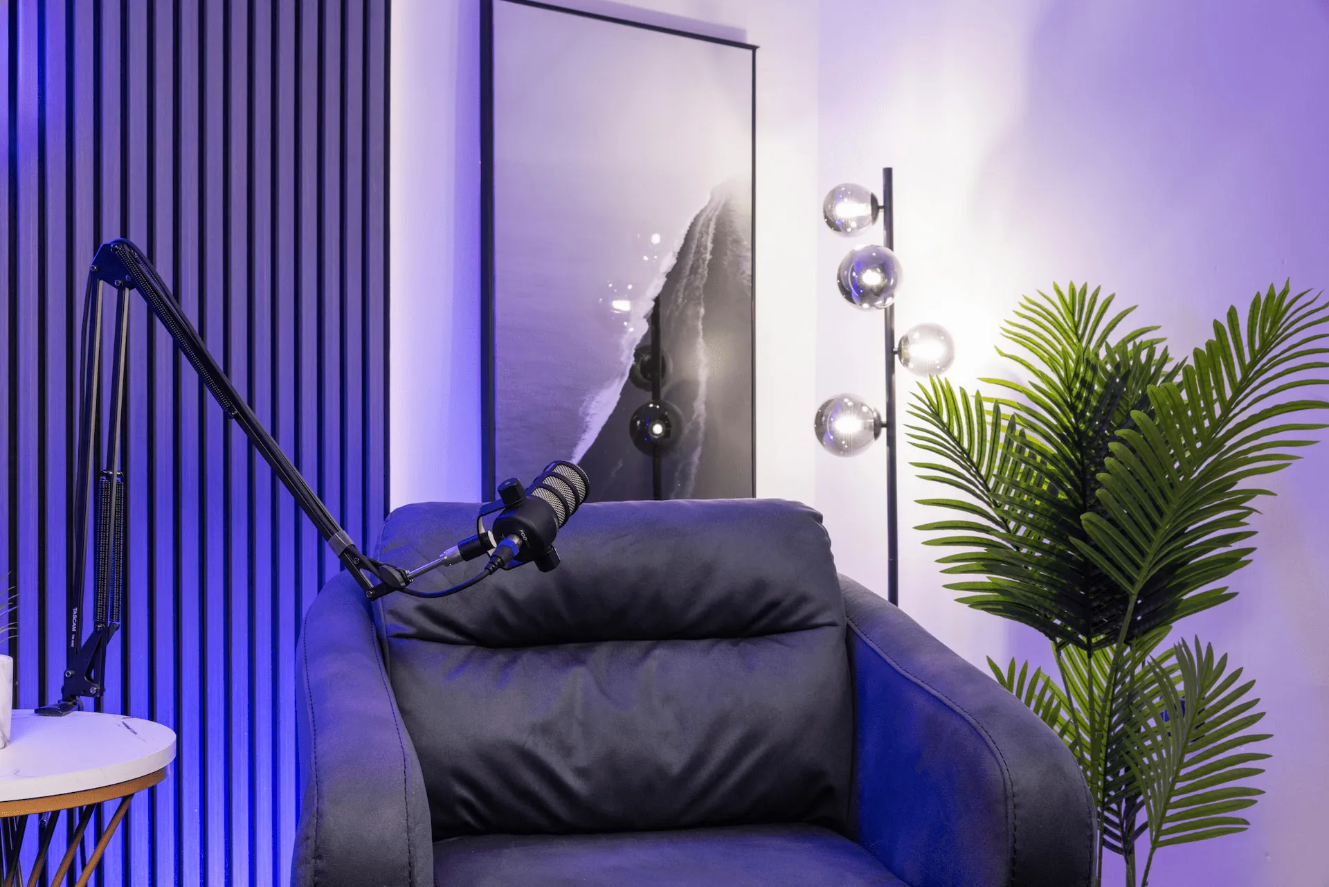 Oprema za snimanje u Studiju Alfa