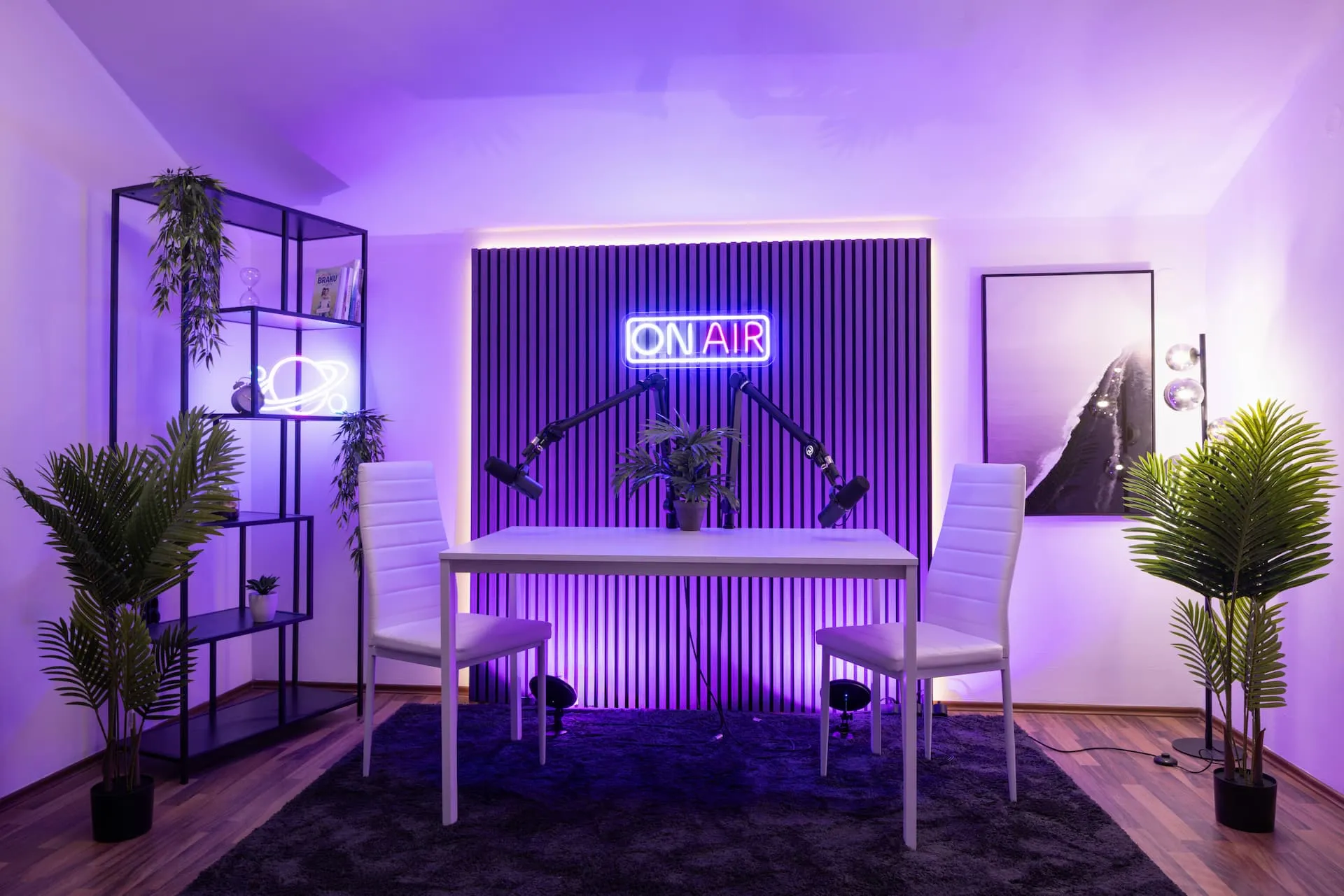 Glavni pogled na Studio Alfa